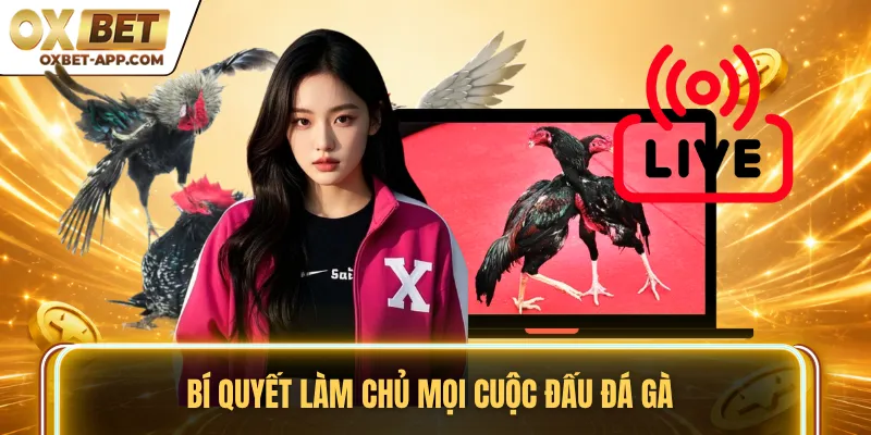Bí quyết làm chủ mọi cuộc đấu đá gà