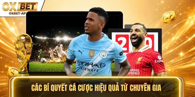 Các bí quyết cá cược hiệu quả từ chuyên gia