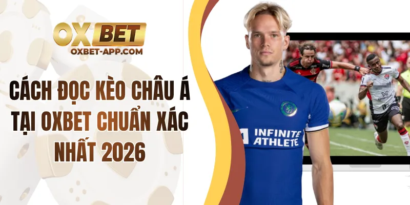 Cách Đọc Kèo Châu Á Tại OXBET Chuẩn Xác Nhất 2026