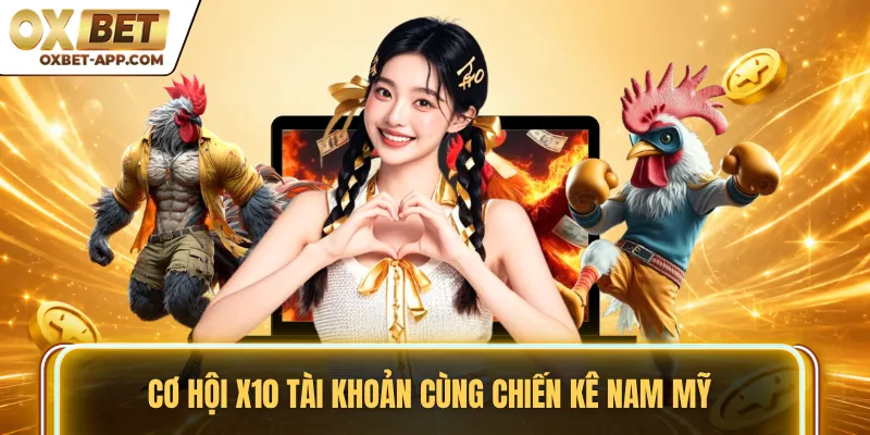 Cơ hội X10 tài khoản cùng chiến kê Nam Mỹ