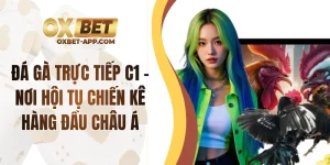 Đá Gà Trực Tiếp C1 - Nơi Hội Tụ Chiến Kê Hàng Đầu Châu Á