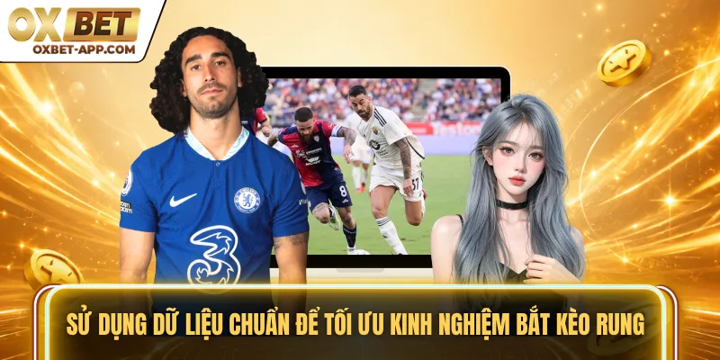 Sử dụng dữ liệu chuẩn để tối ưu kinh nghiệm bắt kèo rung